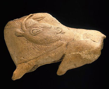 Le bison se lechant, ca.  15000  BP,  Musée d